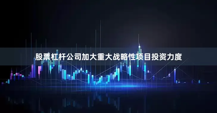 股票杠杆公司加大重大战略性项目投资力度